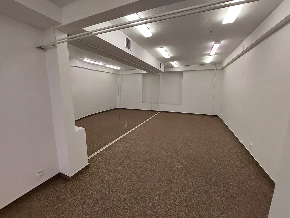 Pronájem kanceláře 175 m² – fotografie 3