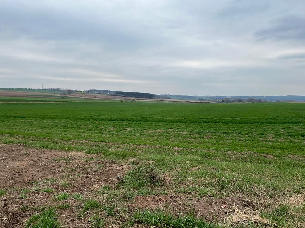 Prodej stavebního pozemku 1000 m² – fotografie 4