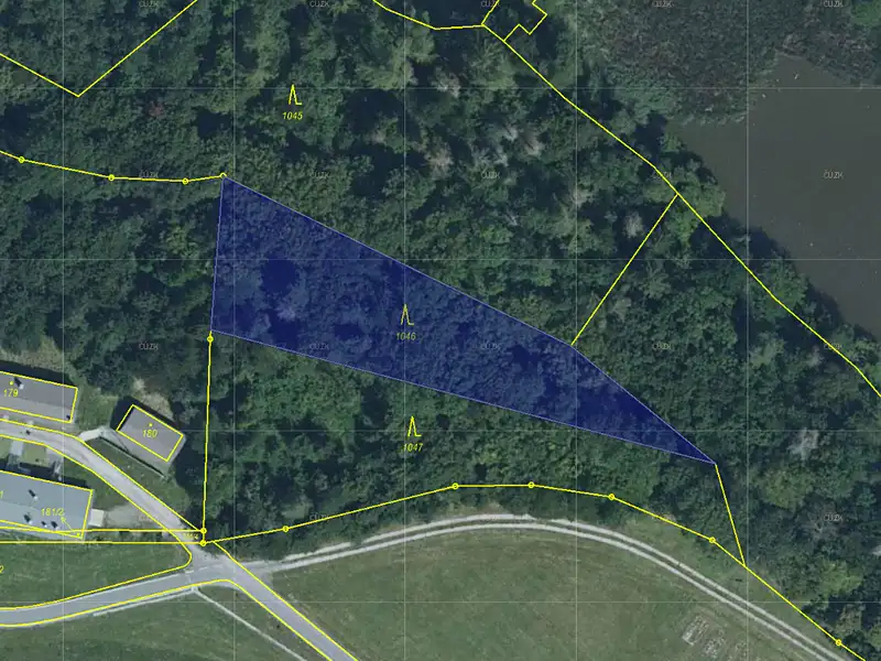 Prodej lesa 2095 m², Plumlov – náhled fotky 1