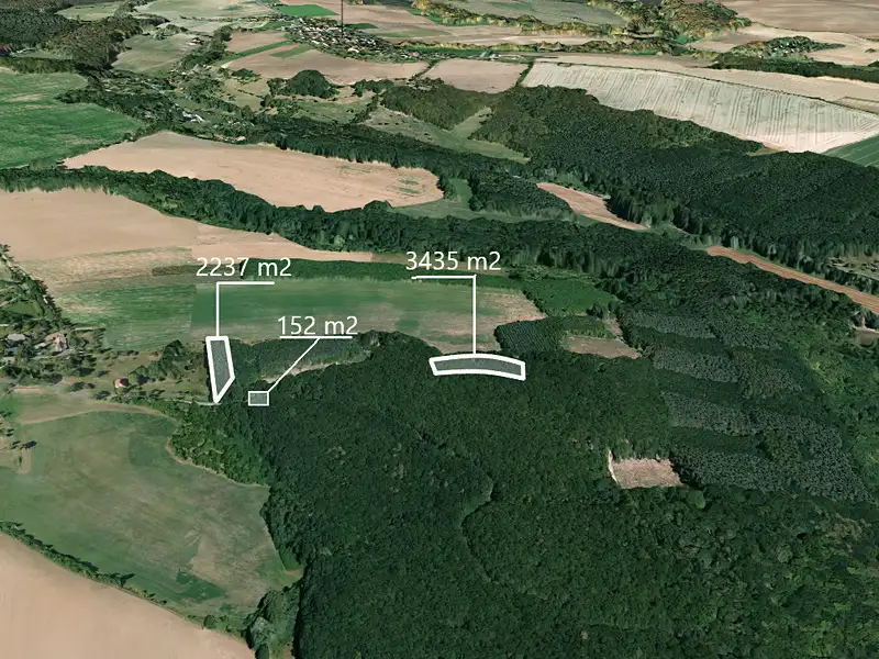 Prodej lesa 5824 m², Bačalky – náhled fotky 1