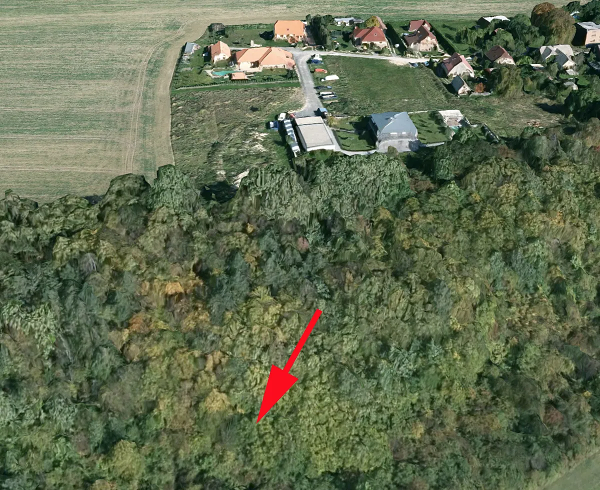 Prodej lesa 2985 m²