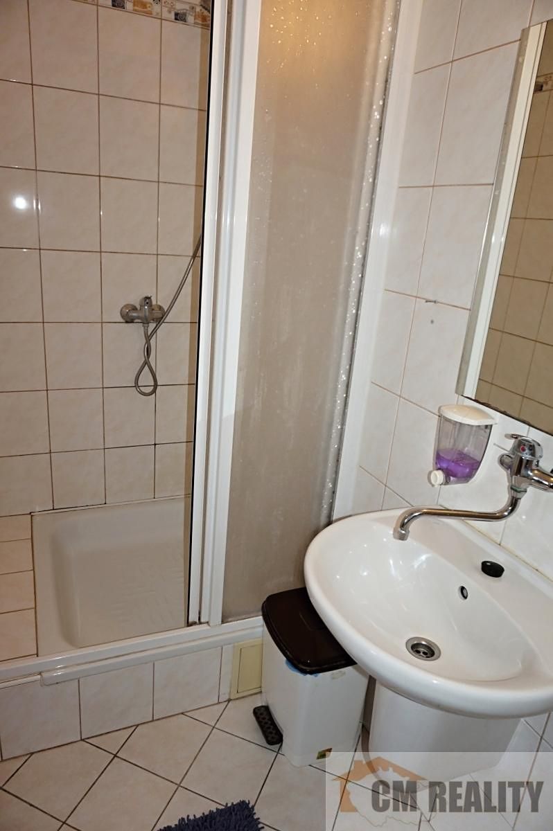 Prodej rodinného domu 250 m², pozemek 240 m² – fotografie 5
