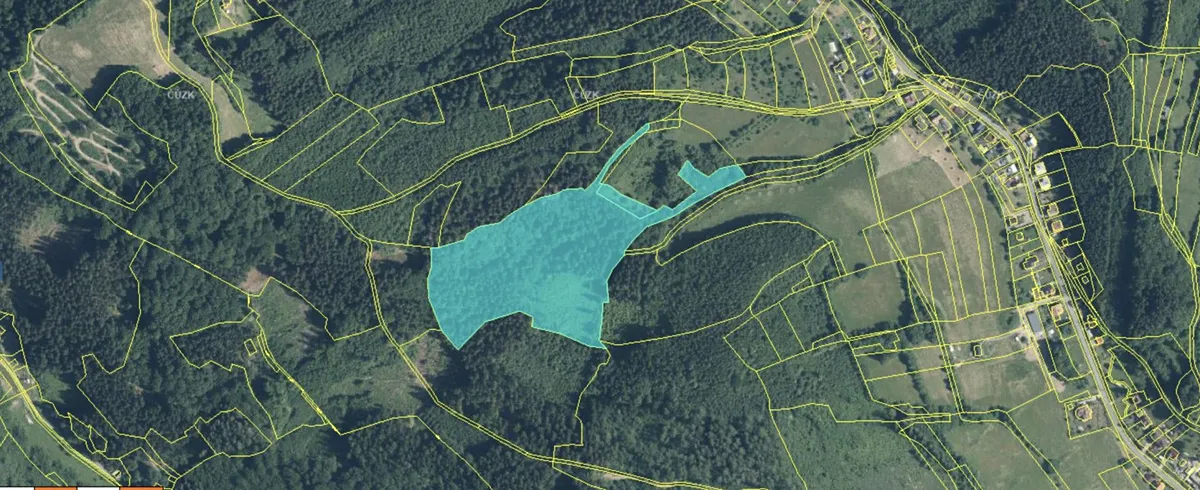 Prodej lesa 38165 m²