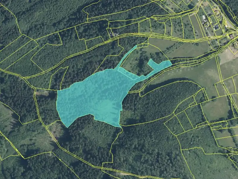 Prodej lesa 38165 m², Vsetín – náhled fotky 1