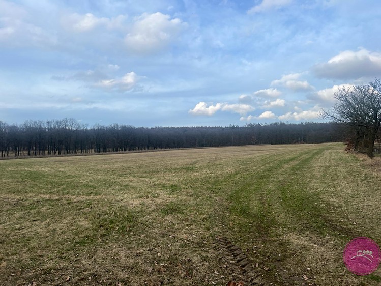 Ділянка на продаж, 27 123 м² (7 з 8)