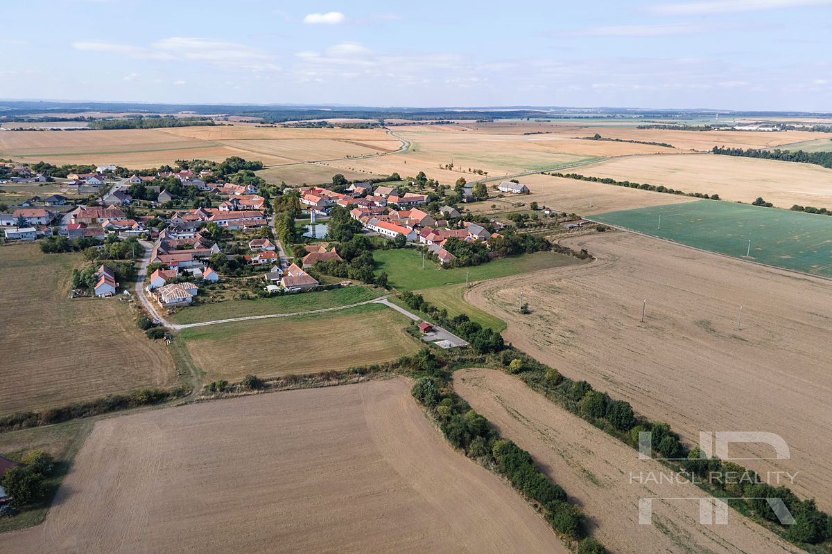 Prodej pole 8703 m² – fotografie 2