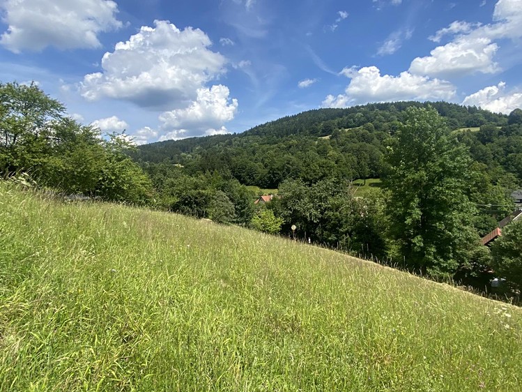 Prodej pozemku, 1 053 m² (8 z 10)