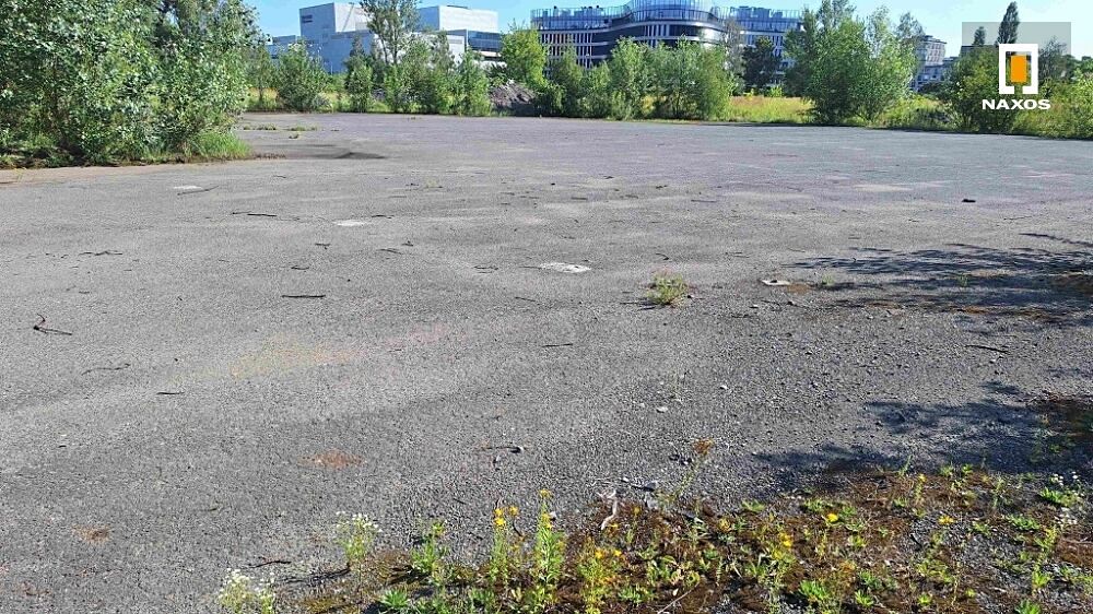 Pronájem pozemku 2000 m² – fotografie 2