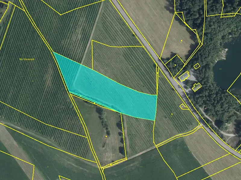 Prodej pole 12035 m², Proseč – náhled fotky 1