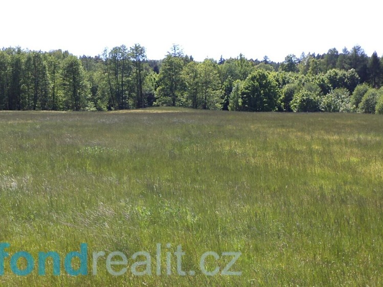 Grundstück zum Kauf, 50.580 m² (1 von 16)