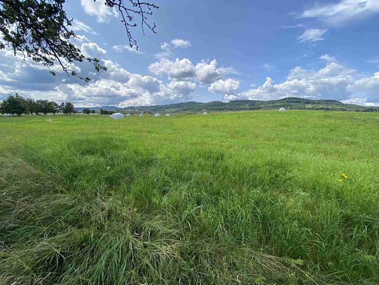 Grundstück zum Kauf, 55.481 m² (12 von 30)