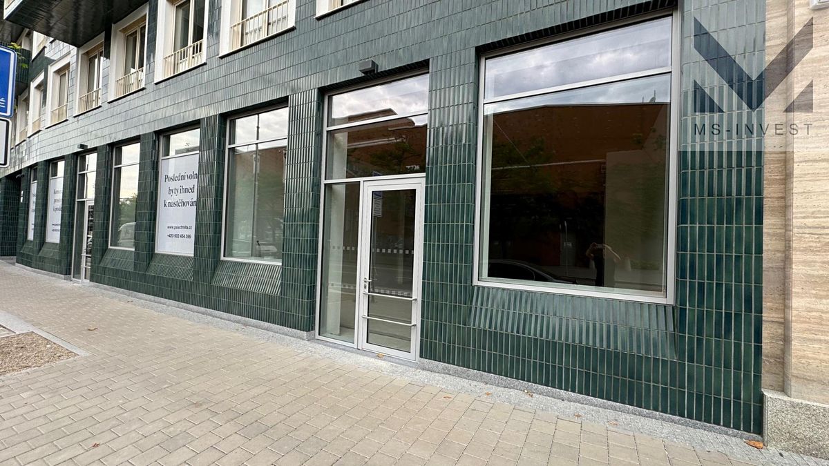 Prodej obchodního prostoru 132 m² – fotografie 3