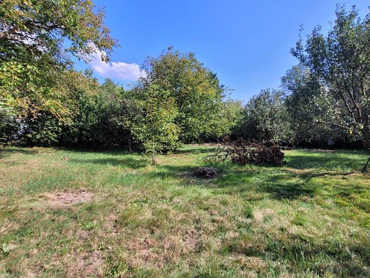 Prodej pozemku, 2 469 m² (4 z 16)
