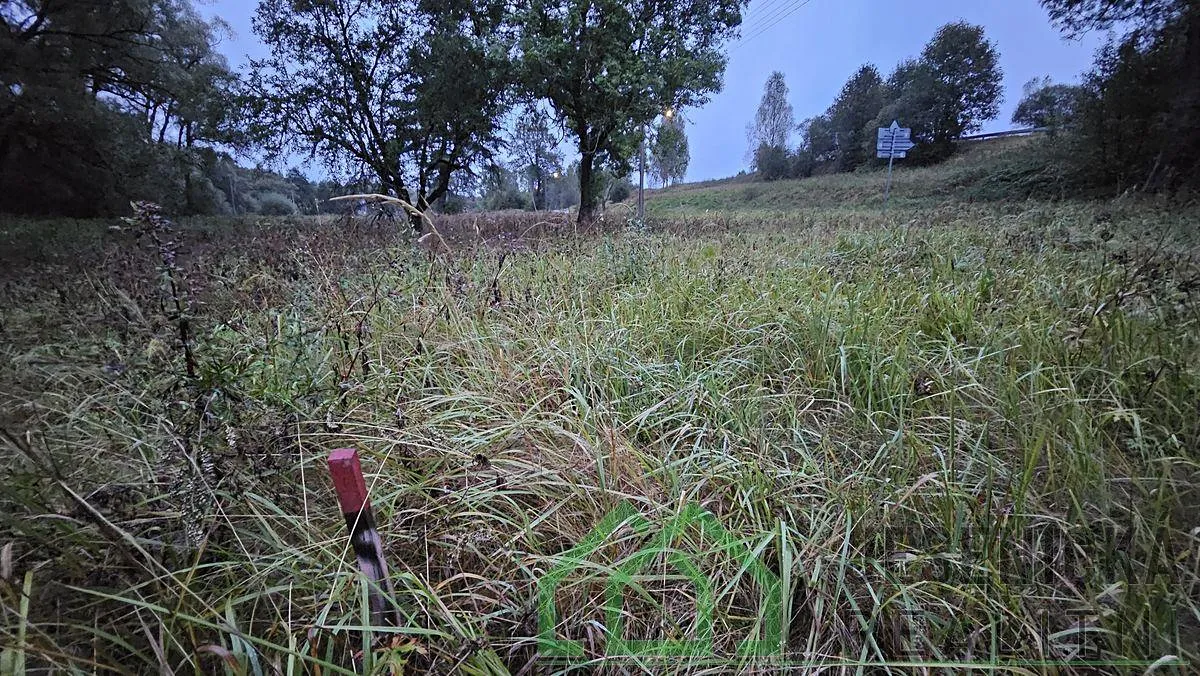Fotka 5 z 16