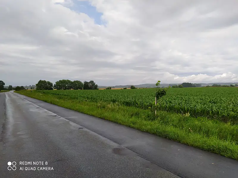 Prodej komerčního pozemku 13103 m², Dolní Roveň – náhled fotky 2