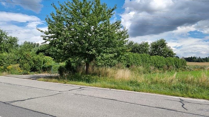 Prodej komerčního pozemku 23400 m² – fotografie 2