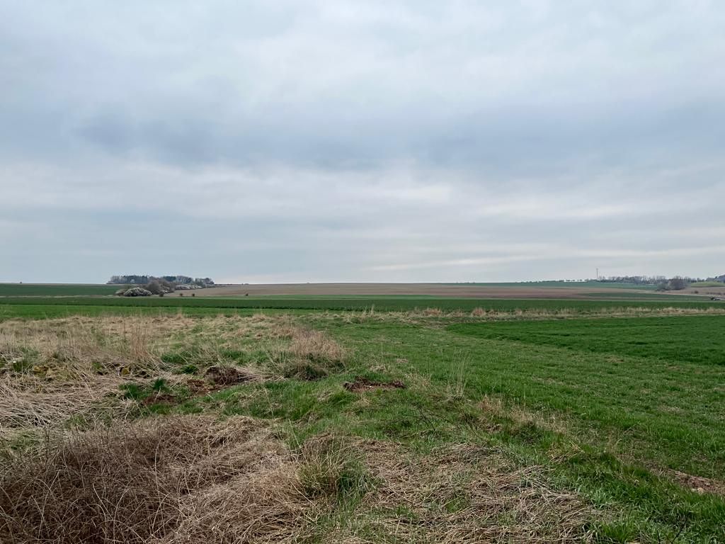 Prodej stavebního pozemku 1000 m² – fotografie 2