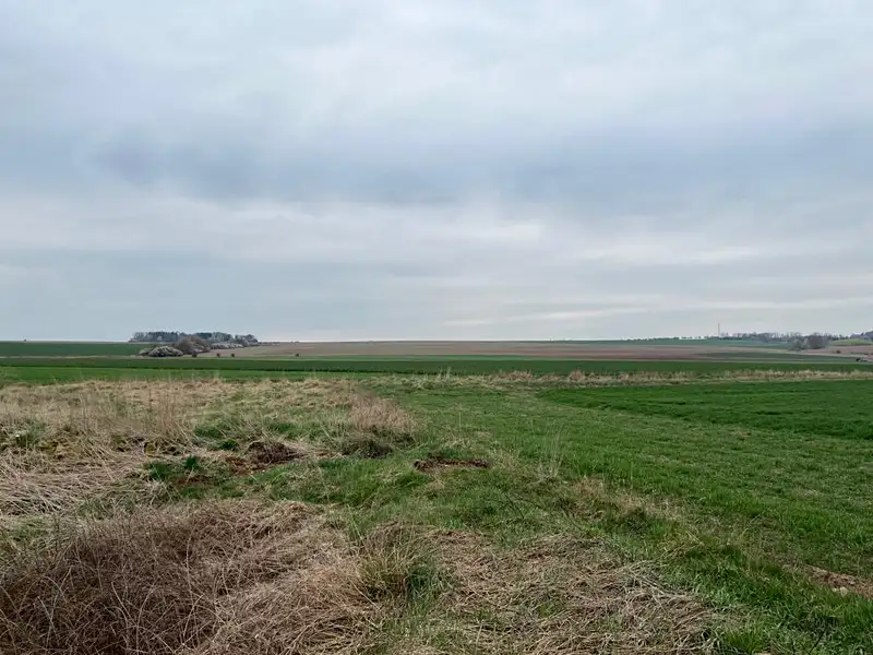 Prodej stavebního pozemku 1000 m², Nýřany – náhled fotky 2