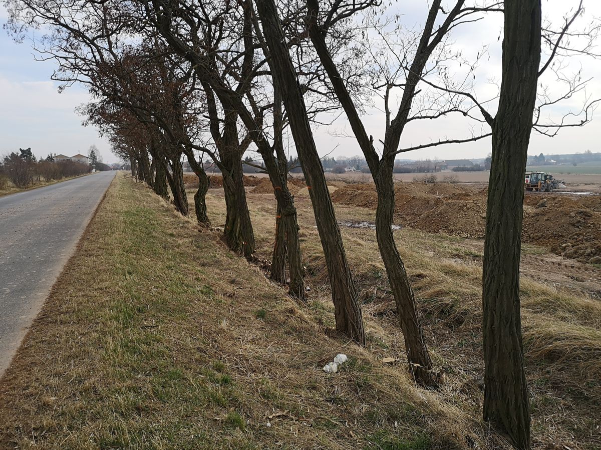 Prodej stavebního pozemku 1000 m² – fotografie 5