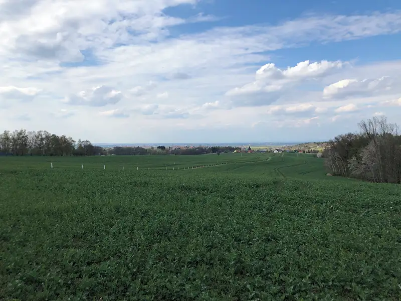 Prodej pole 27198 m², Říčany – náhled fotky 2