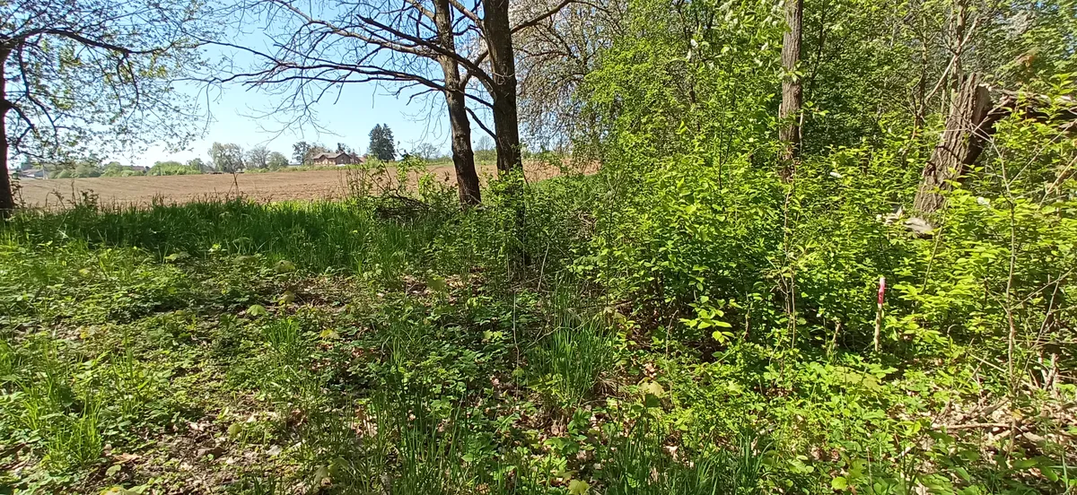 Fotka 17 z 30