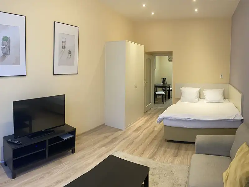 Pronájem bytu 1+1 40 m²
