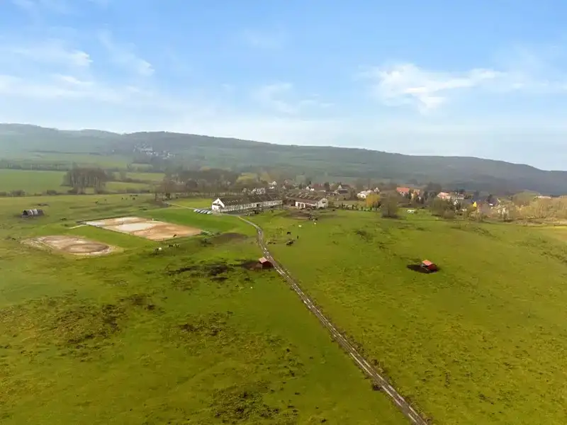 Prodej specifického typu nemovitosti 1241 m², Velké Chvojno – náhled fotky 3