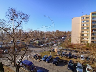 Real Estate Image