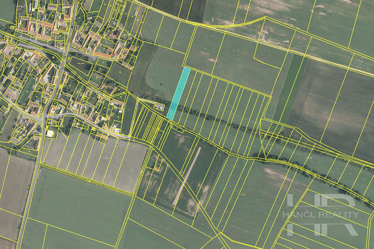 Prodej pole 8703 m² – fotografie 4