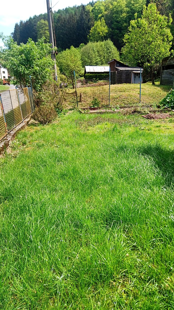 Prodej rodinného domu 120 m², pozemek 1613 m² – fotografie 5