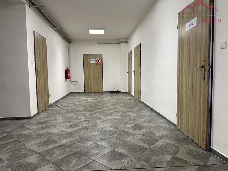 Pronájem komerčního prostoru, 1 200 m² (27 z 33)
