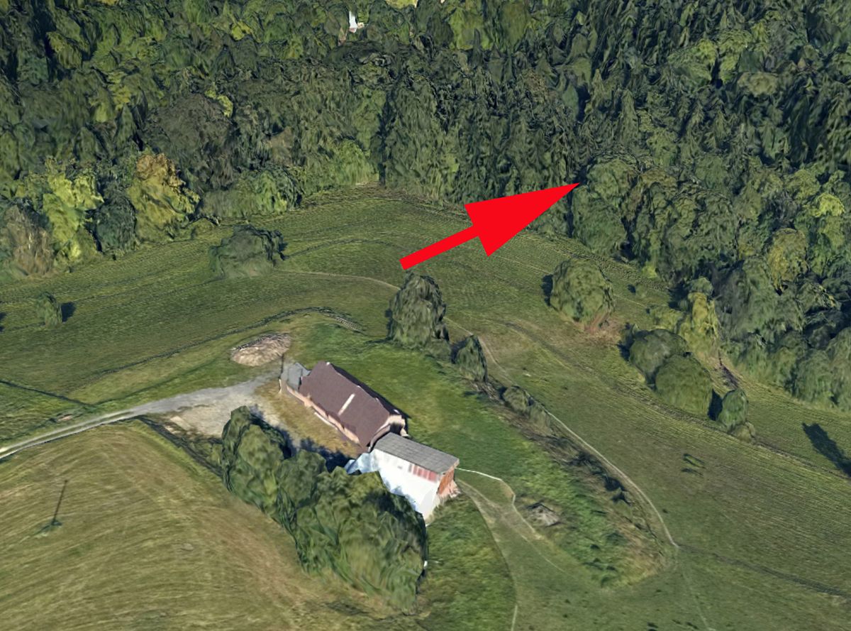 Prodej lesa 2693 m²