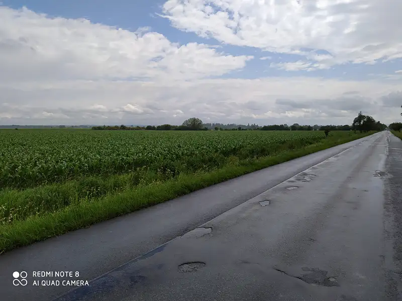Prodej komerčního pozemku 13103 m², Dolní Roveň – náhled fotky 3
