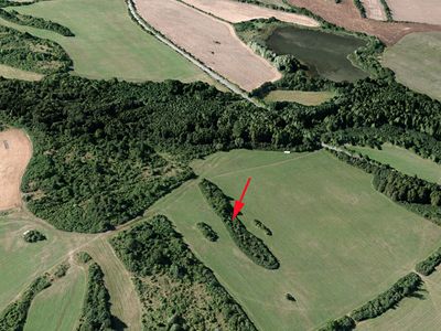 Prodej lesa 1385 m²