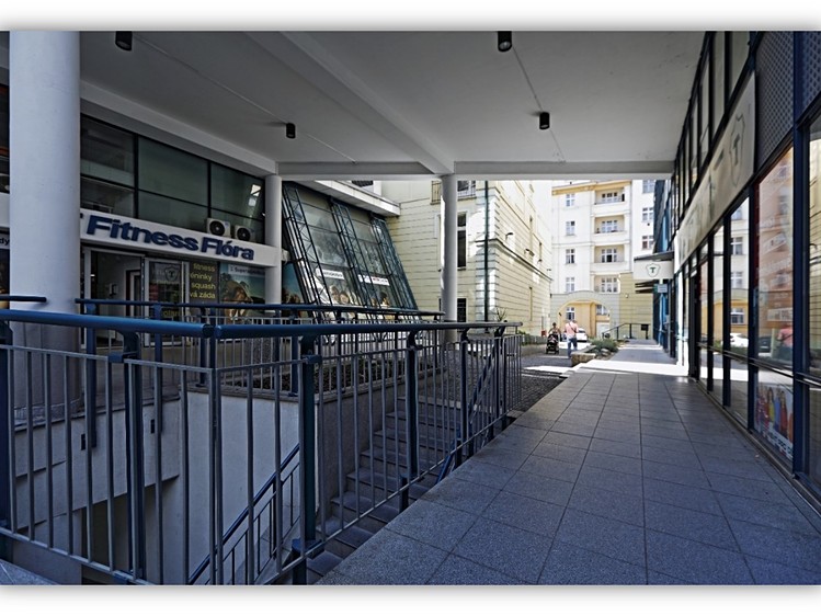 Pronájem komerčního prostoru, 257 m² (7 z 10)