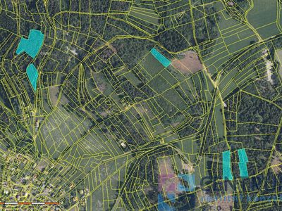 Prodej lesa 15992 m²