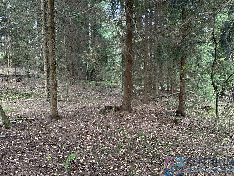 Grundstück zum Kauf, 15.992 m² (4 von 4)