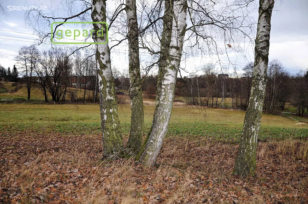 Prodej pole 4674 m², Trhové Sviny