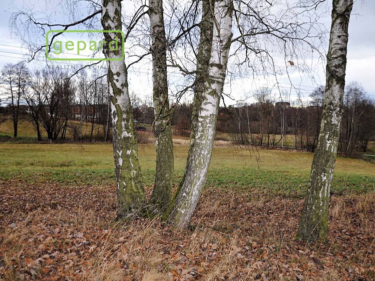 Ділянка на продаж, 4 674 м² (1 з 9)