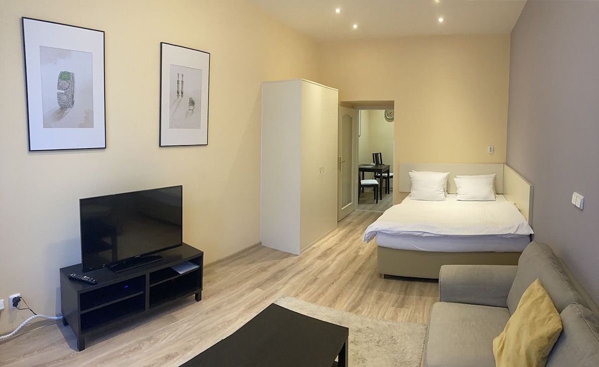 Pronájem bytu 1+1 40 m² – fotografie 5