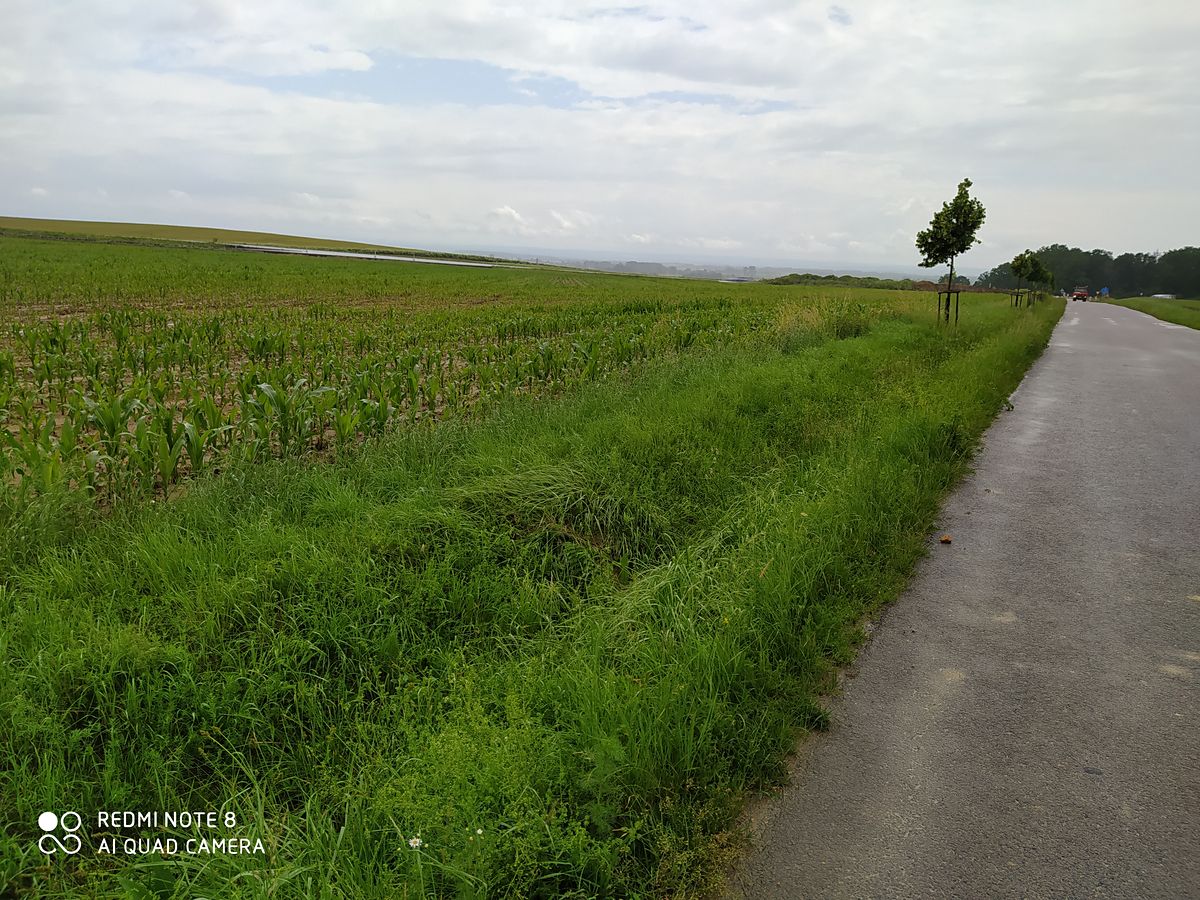 Prodej stavebního pozemku 12434 m² – fotografie 3