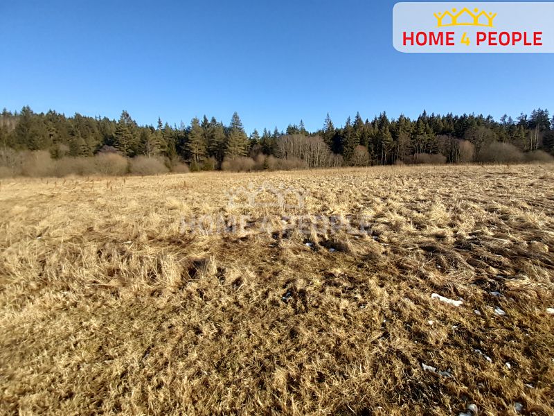 Prodej louky 9804 m², Černá v Pošumaví – fotka 1 z 3