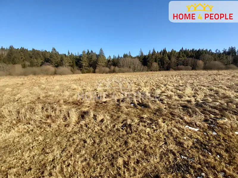 Prodej louky 9804 m², Černá v Pošumaví – náhled fotky 1