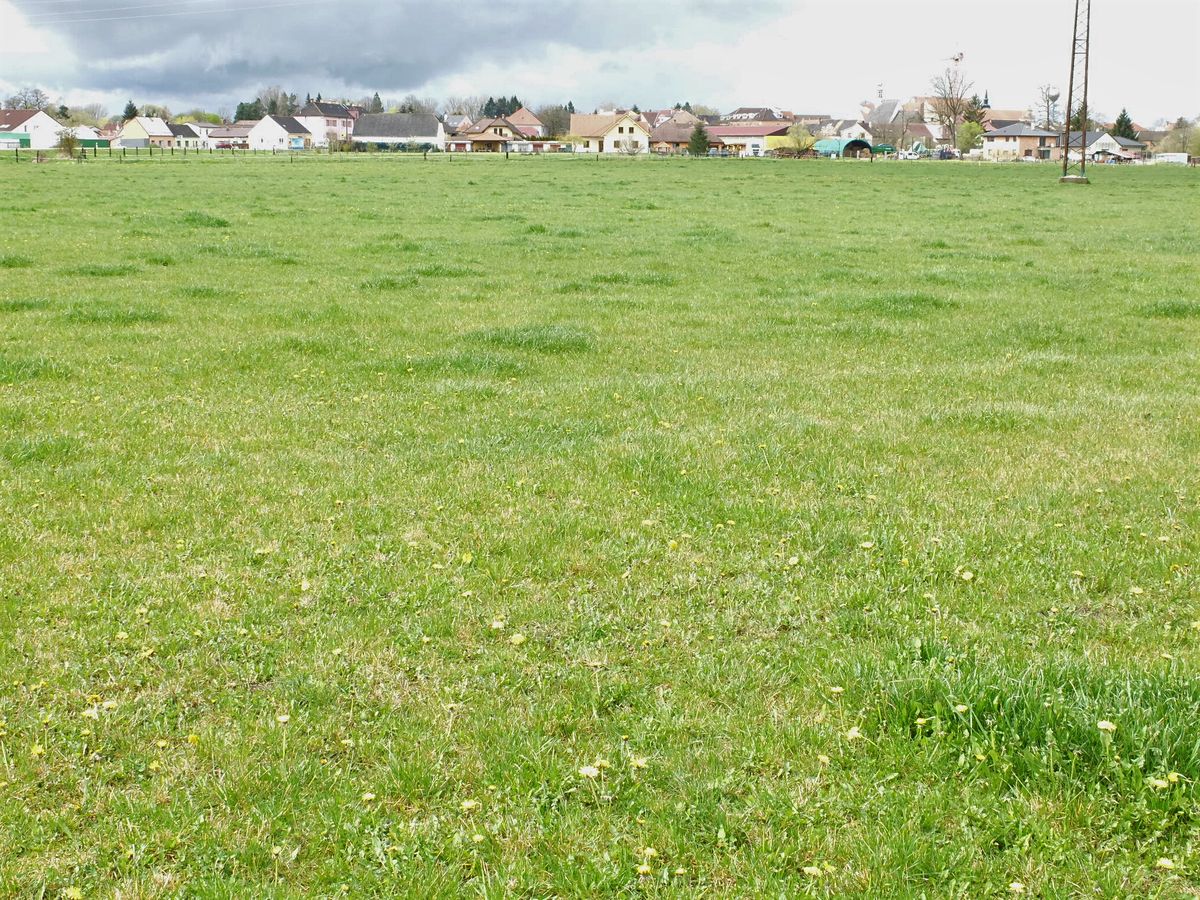 Prodej zahrady 3134 m², Lomnice nad Lužnicí – fotka 1 z 3