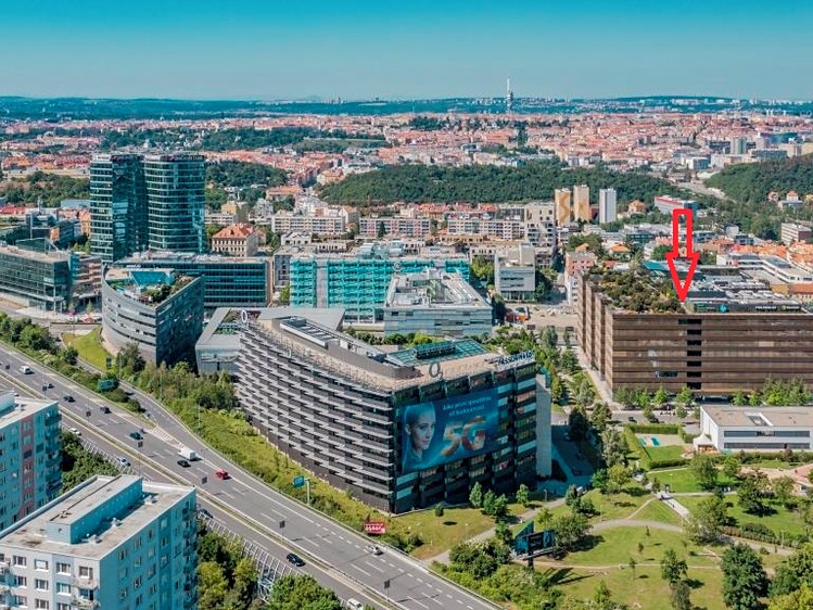Pronájem komerčního prostoru, 915 m² (8 z 22)