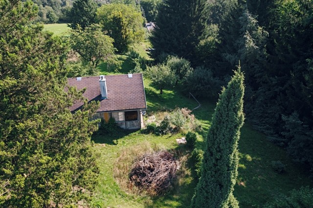 Grundstück zum Kauf, 2.706 m² (9 von 11)