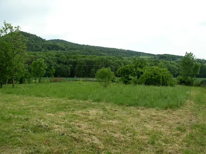 Prodej stavebního pozemku 2373 m², Třebušín – náhled fotky 2