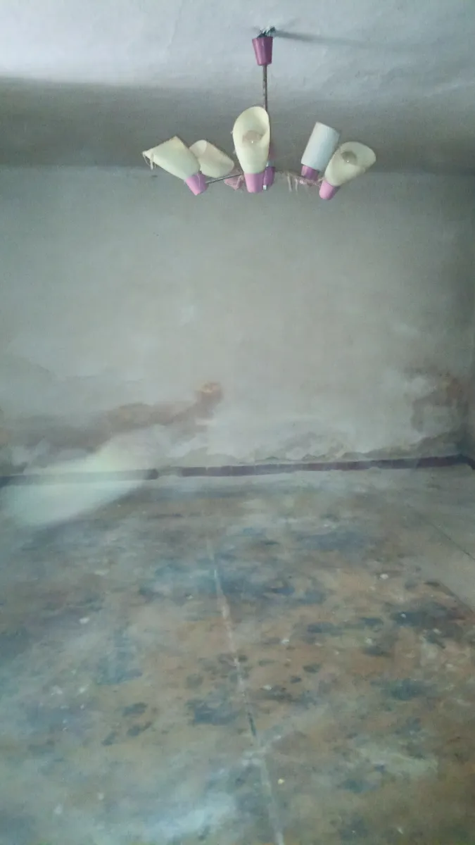 Fotka 10 z 13
