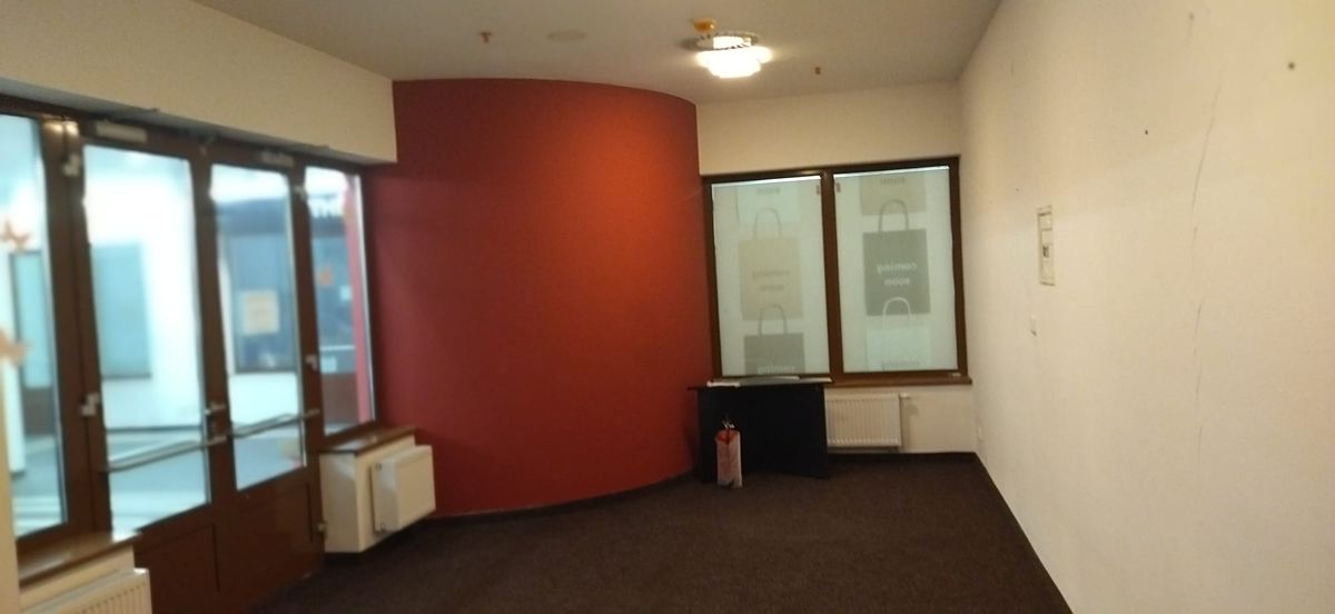 Prodej obchodního prostoru 30 m²