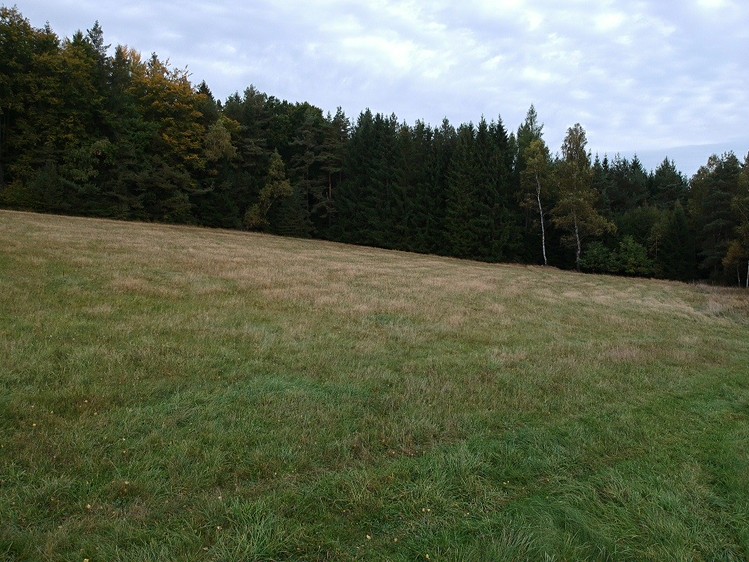 Prodej pozemku, 6 478 m² (4 z 7)